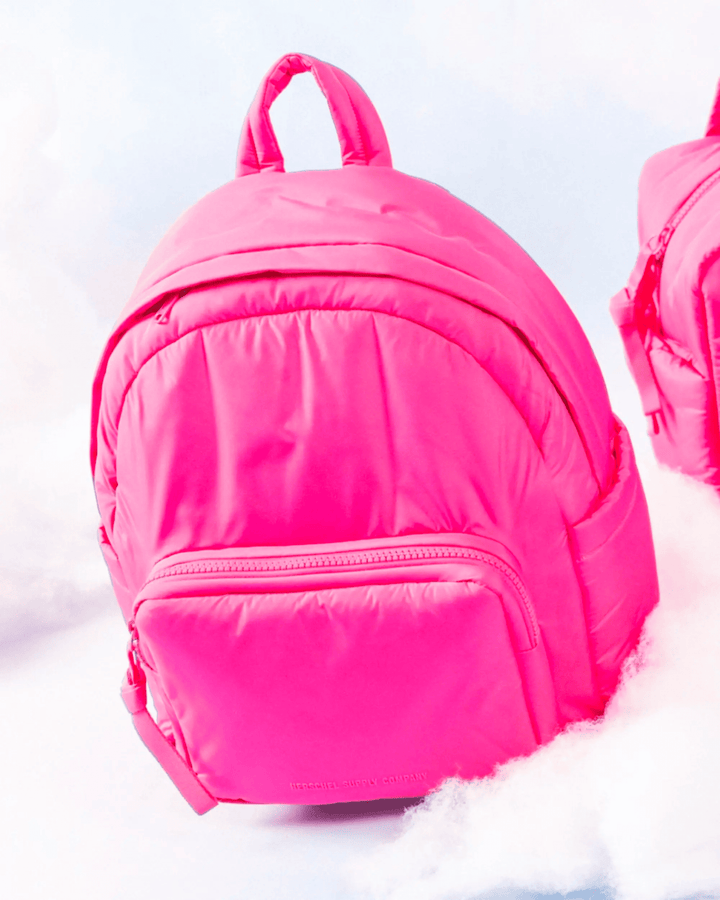 Mochila Herchel - Cloudform Backpack - 22L